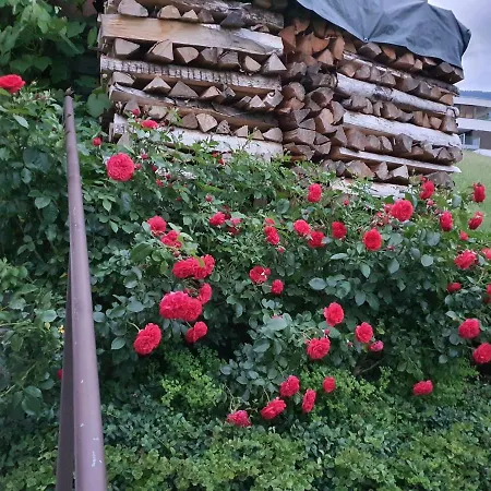 Privatunterkunft Dreamlandranch Vorarlberg *