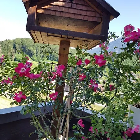 Dreamlandranch Vorarlberg Homestay szállás Schlins