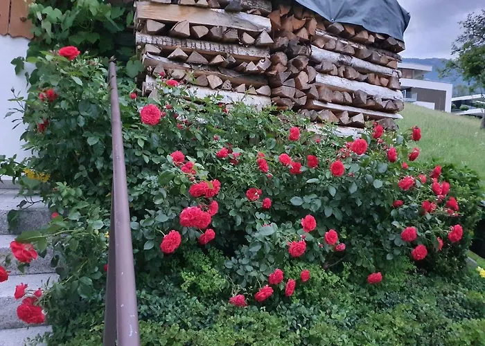 Homestay Dreamlandranch Vorarlberg *